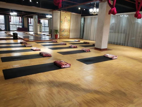 暖豐石墨烯電熱膜地暖 瑜伽館、養(yǎng)生館與健身房的應用優(yōu)勢及研發(fā)進展